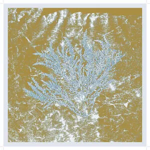 For those of you who have never (and also those who have)